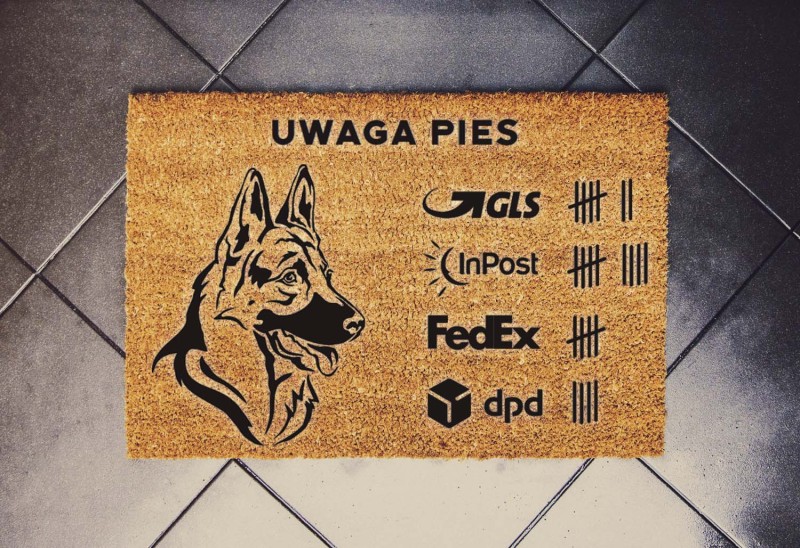 zły pies owczarek niemiecki.jpg