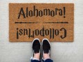 alohomora.jpg