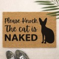 The Cat is Naked.jpg