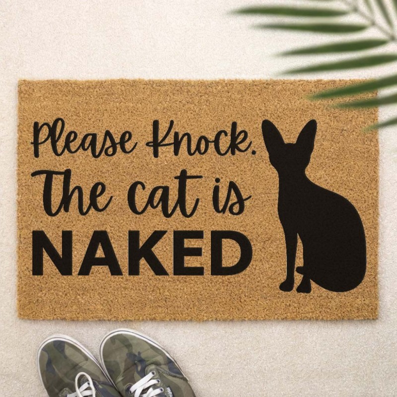 The Cat is Naked.jpg