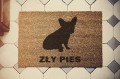 ZŁY PIES 23.jpg