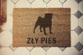 ZLY PIES.jpg