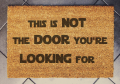 looking for.png